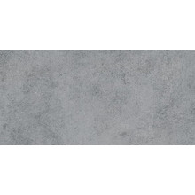 G343MR Taganay Grey (Таганай Грей) 300x600 матовый серый